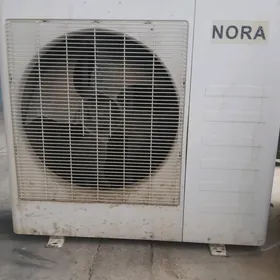 Nora