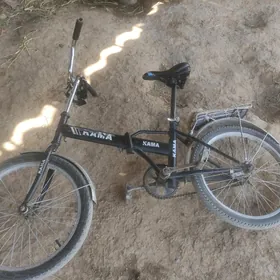 Kama tigir
