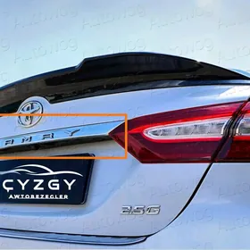 Camry Bagaž Nikel