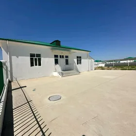 Kor cay 5 kom