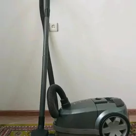 plesos