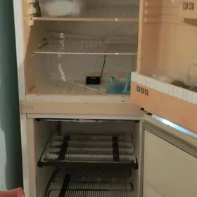 haladelnik