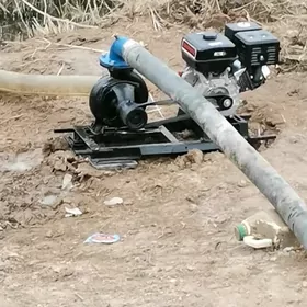 Suw nasos 100 lük