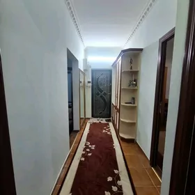 Arenda mir1