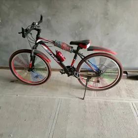 Spartevni welik
