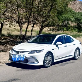Toyota Camry 2019