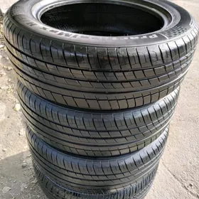 245 55 19 Teker 4423ýyl