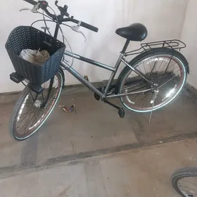 27 bilen 28 welik