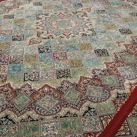 iran haly