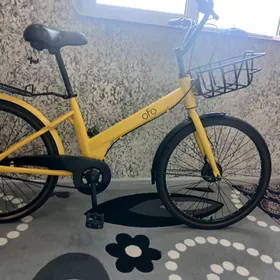 Tigir ofo kareika