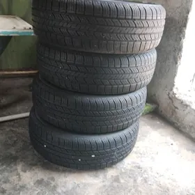 13 ayak