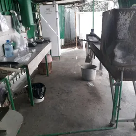KAFE  MANGAL  AREDA