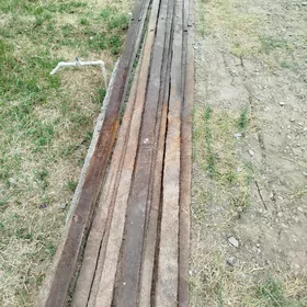 paçak palasa