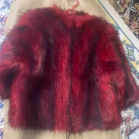 Şuba