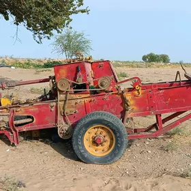 kip etyan