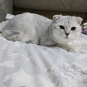 Мальчик