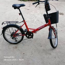 tigir 20 lik yapon
