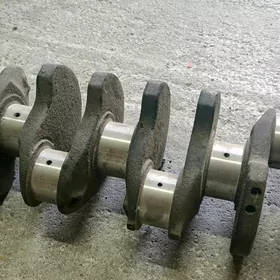 Wal niva 0.50