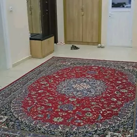 Mir 2
