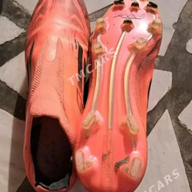 F50