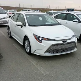 Toyota Corolla Hybrid 2020