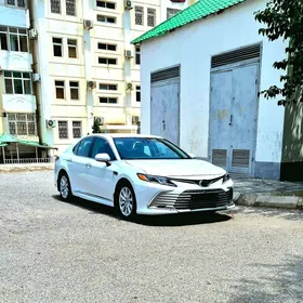 Toyota Camry 2020