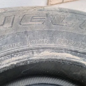 Bridgestone pakryska
