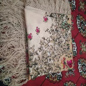 cargat akasiya