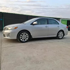 Toyota Corolla 2011