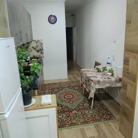 химик квартира