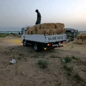 Forland H2 2014