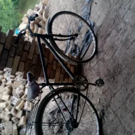 welsepet