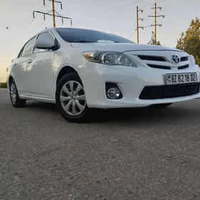 Toyota Corolla 2011