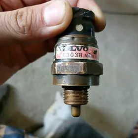Volvo Dik,Kerpic morda