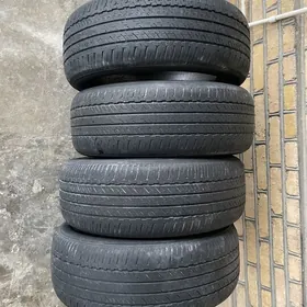 19 lyk tigir