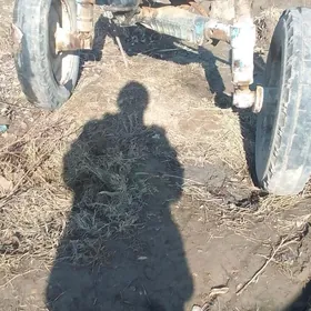 mtz 80