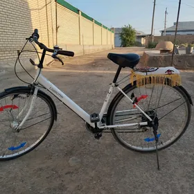 velsopet 27
