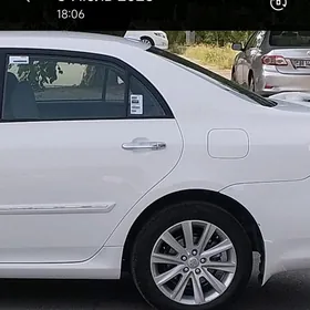 CAROLLA KOROLLA