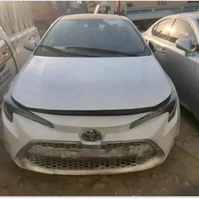Toyota Corolla 2020