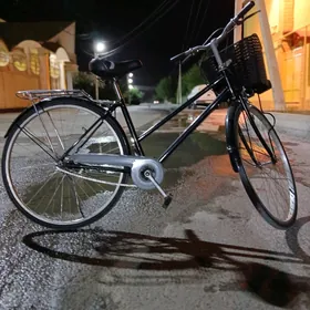 Ýapoşga 27