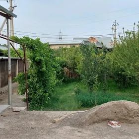 satlyk daca