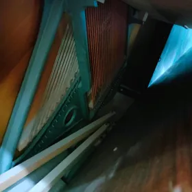 pianino rönisch