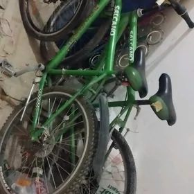 Tigir Türkmenistan 2 sany