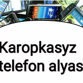 Karopasyz telefon alyas