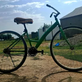 turkmenistan tigir