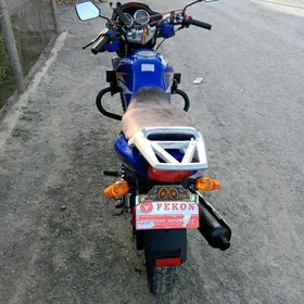 Fekon FK150-8G 2023