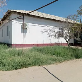 Uchaska jay