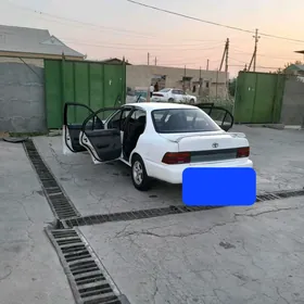 Toyota Corolla 1994