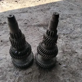 bolok şesdirna zil