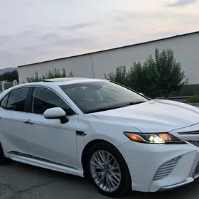 Toyota Camry 2019